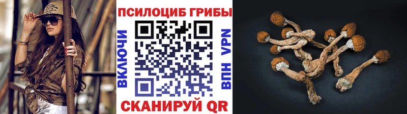 Псилоцибиновые грибы Psilocybe  продажа наркотиков  Якутск 