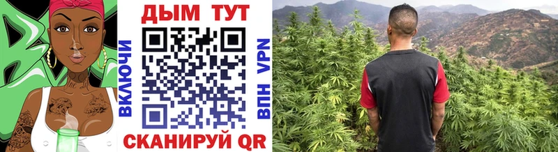 гидра ссылки  где найти   Якутск  Шишки марихуана VHQ 